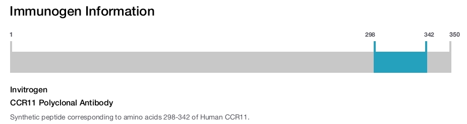 CCR11 Polyclonal Antibody