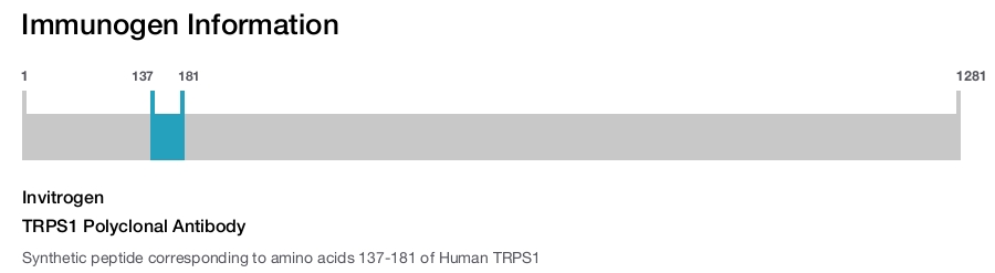 TRPS1 Polyclonal Antibody