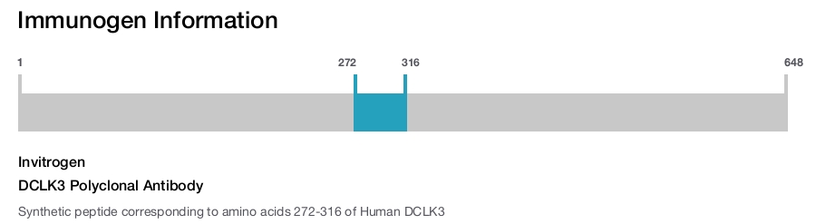 DCLK3 Polyclonal Antibody