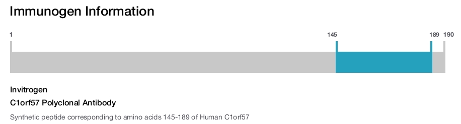 C1orf57 Polyclonal Antibody