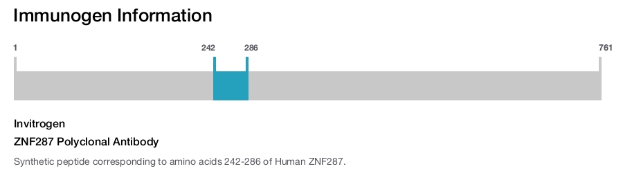 ZNF287 Polyclonal Antibody
