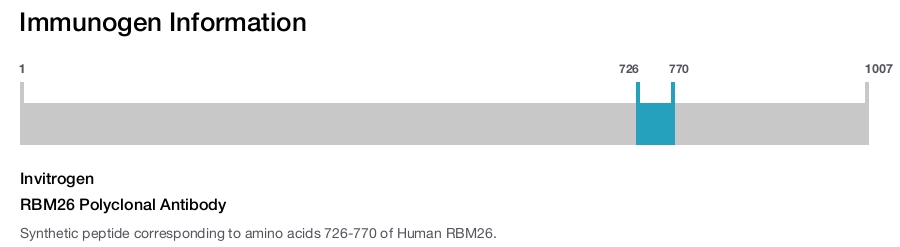 RBM26 Polyclonal Antibody