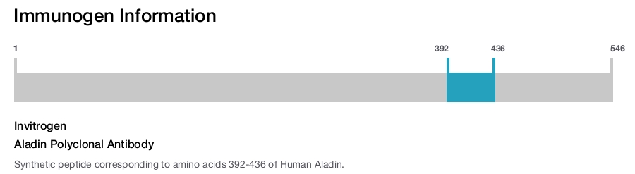 Aladin Polyclonal Antibody