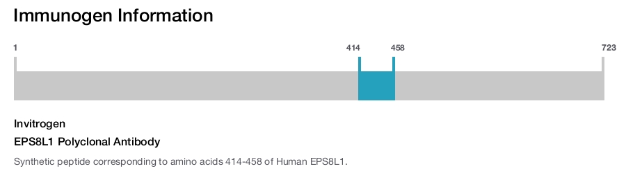 EPS8L1 Polyclonal Antibody