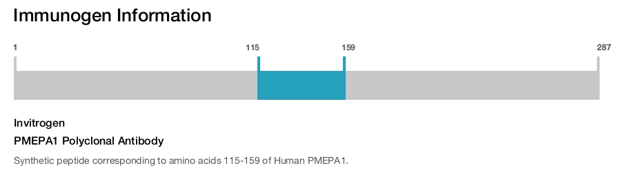 PMEPA1 Polyclonal Antibody