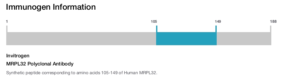 MRPL32 Polyclonal Antibody