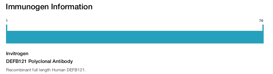 DEFB121 Polyclonal Antibody