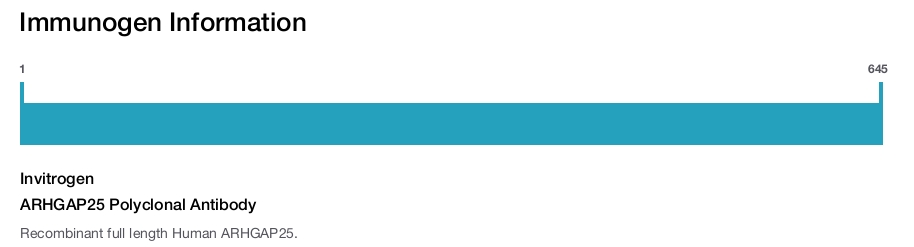 ARHGAP25 Polyclonal Antibody