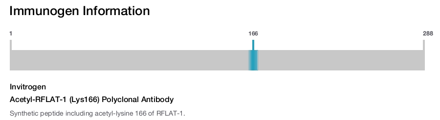 Acetyl-RFLAT-1 (Lys166) Polyclonal Antibody