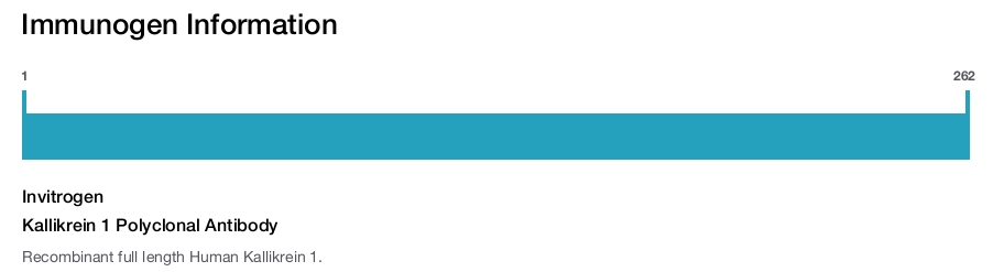 Kallikrein 1 Polyclonal Antibody