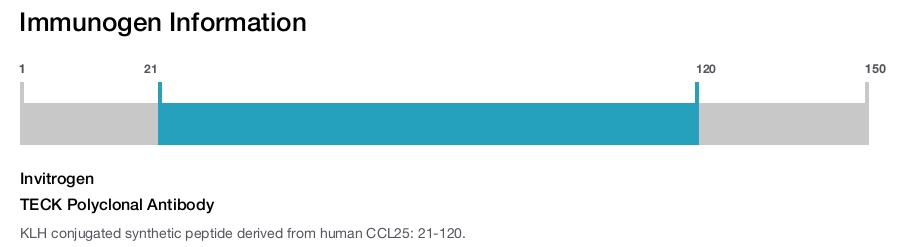 TECK Polyclonal Antibody