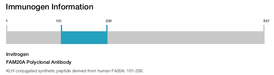 FAM20A Polyclonal Antibody