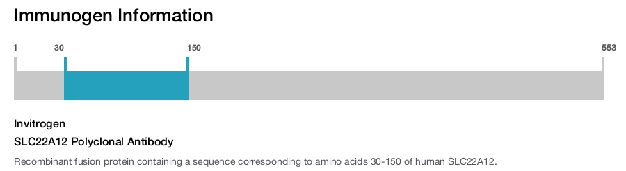 SLC22A12 Polyclonal Antibody