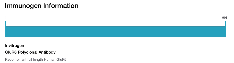 GluR6 Polyclonal Antibody