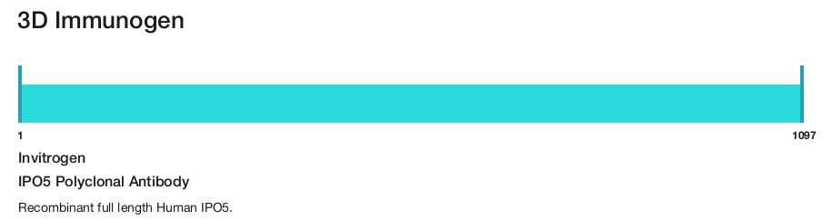 IPO5 Polyclonal Antibody