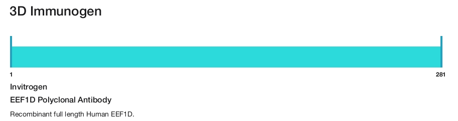 EEF1D Polyclonal Antibody