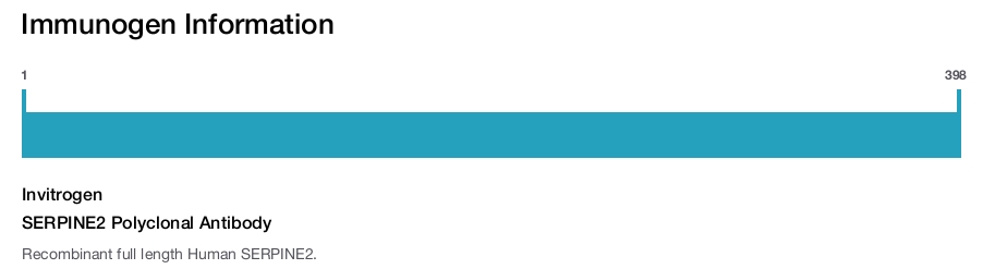 SERPINE2 Polyclonal Antibody