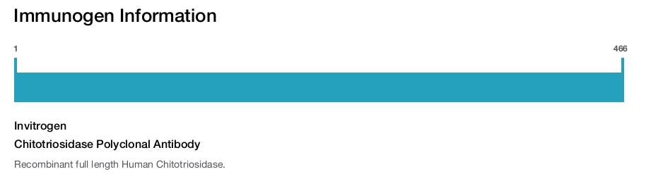 Chitotriosidase Polyclonal Antibody
