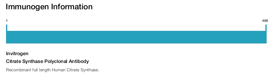 Citrate Synthase Polyclonal Antibody