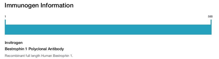 Bestrophin 1 Polyclonal Antibody