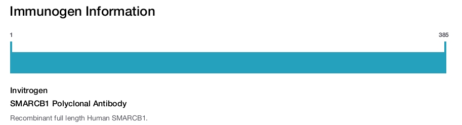 SMARCB1 Polyclonal Antibody
