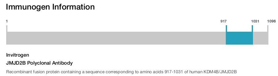 JMJD2B Polyclonal Antibody