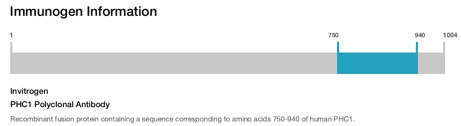 PHC1 Polyclonal Antibody