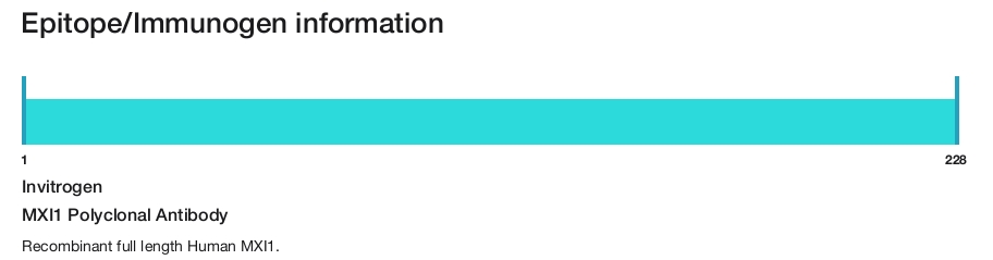 MXI1 Polyclonal Antibody