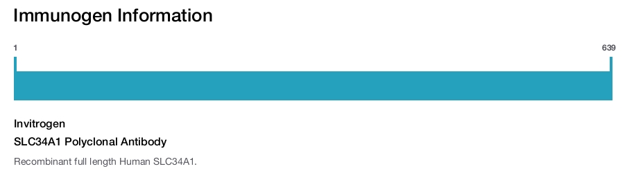 SLC34A1 Polyclonal Antibody
