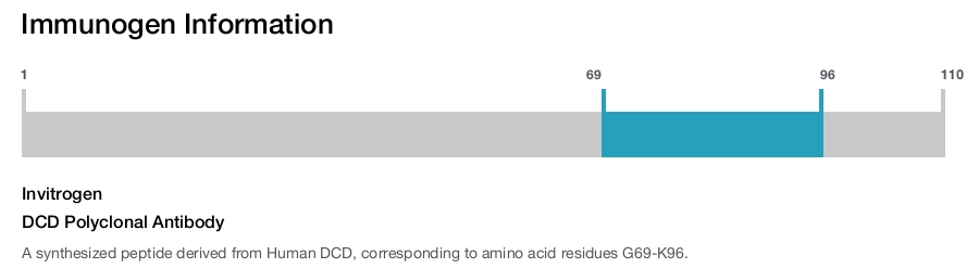 DCD Polyclonal Antibody