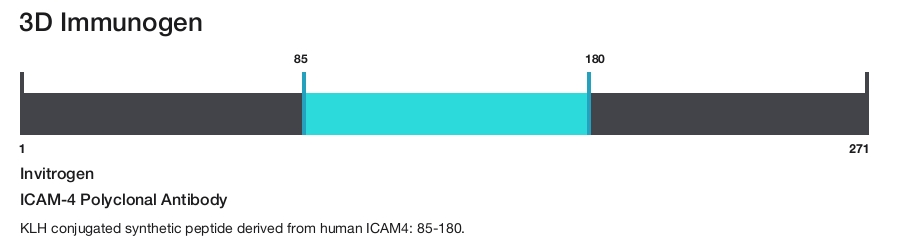ICAM-4 Polyclonal Antibody