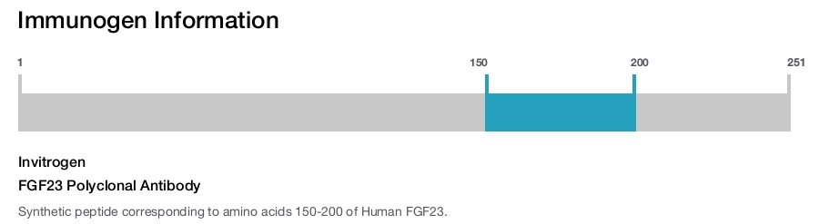 FGF23 Polyclonal Antibody