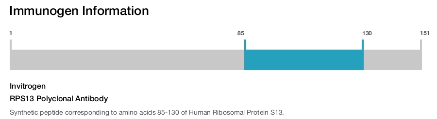 RPS13 Polyclonal Antibody