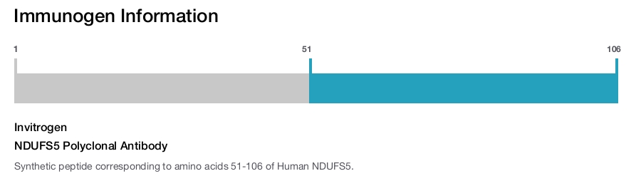 NDUFS5 Polyclonal Antibody