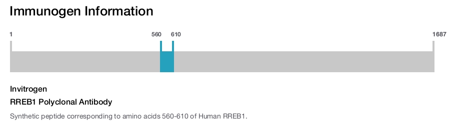 RREB1 Polyclonal Antibody