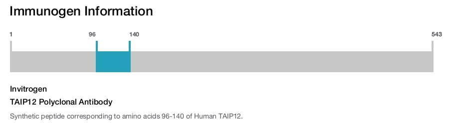 TAIP12 Polyclonal Antibody