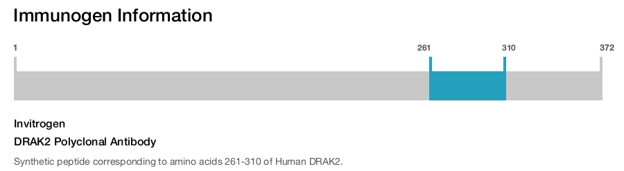 DRAK2 Polyclonal Antibody