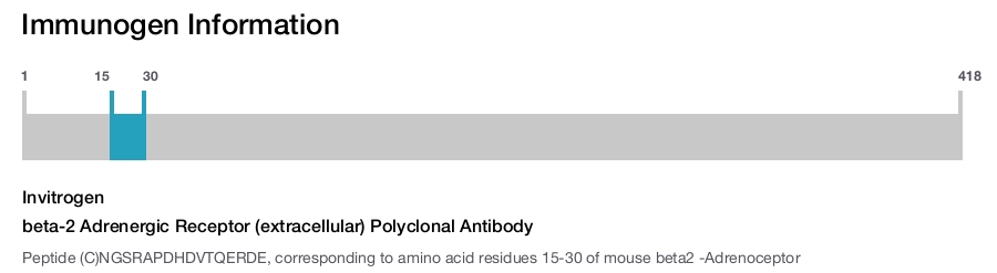 beta-2 Adrenergic Receptor (extracellular) Polyclonal Antibody