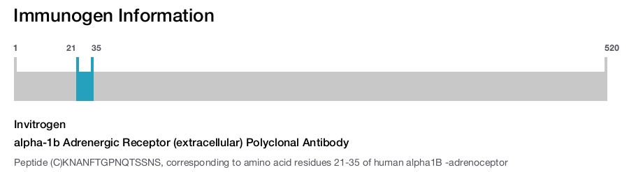alpha-1b Adrenergic Receptor (extracellular) Polyclonal Antibody