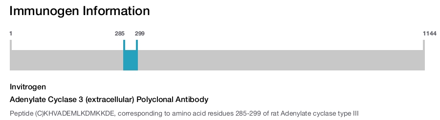 Adenylate Cyclase 3 (extracellular) Polyclonal Antibody