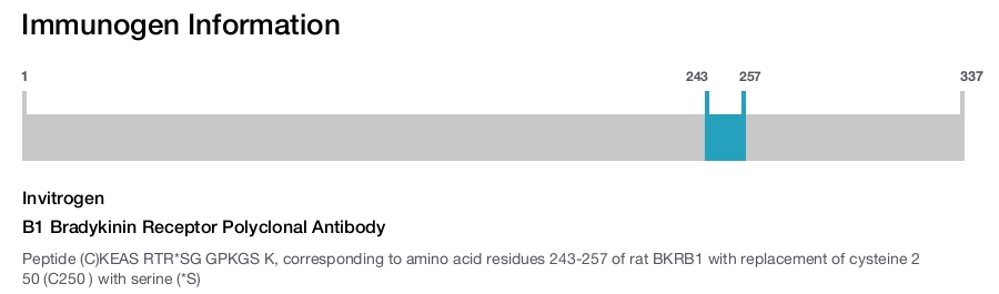 B1 Bradykinin Receptor Polyclonal Antibody