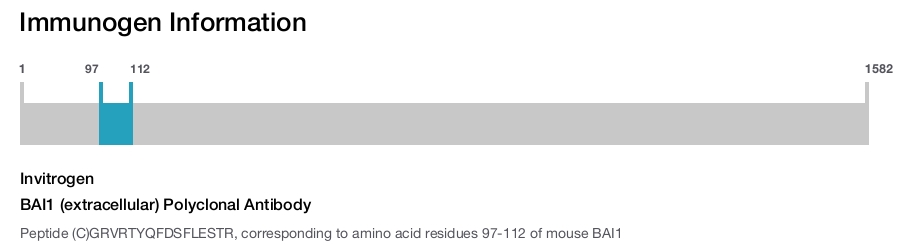 BAI1 (extracellular) Polyclonal Antibody