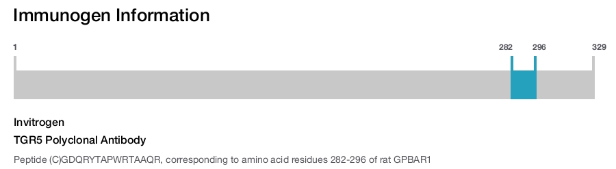 TGR5 Polyclonal Antibody