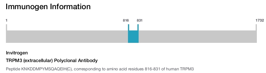 TRPM3 (extracellular) Polyclonal Antibody