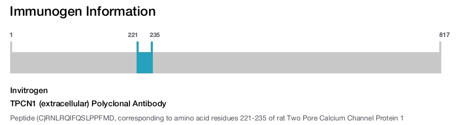 TPCN1 (extracellular) Polyclonal Antibody