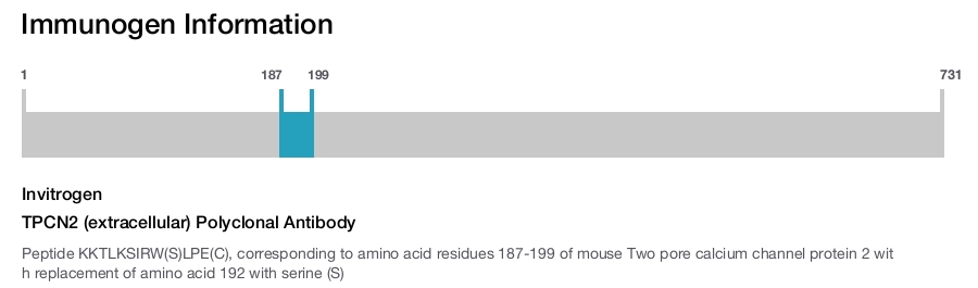TPCN2 (extracellular) Polyclonal Antibody