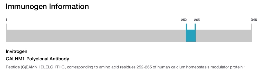 CALHM1 Polyclonal Antibody