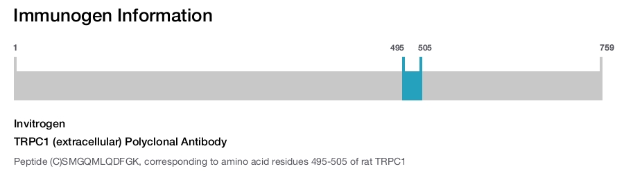 TRPC1 (extracellular) Polyclonal Antibody