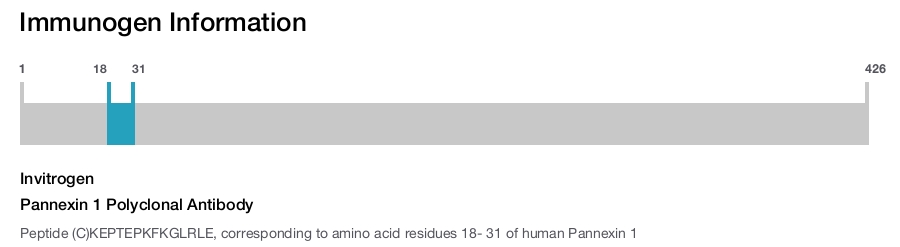 Pannexin 1 Polyclonal Antibody