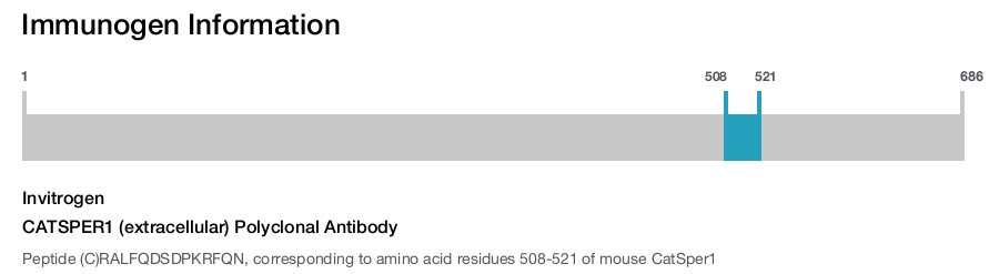 CATSPER1 (extracellular) Polyclonal Antibody